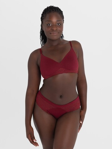 Erlich Textil Slip 'Annemarie' in Rot: Vorderseite