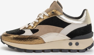 Baskets basses Floris van Bommel en or : devant