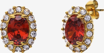 Lucardi Earrings in Gold: front