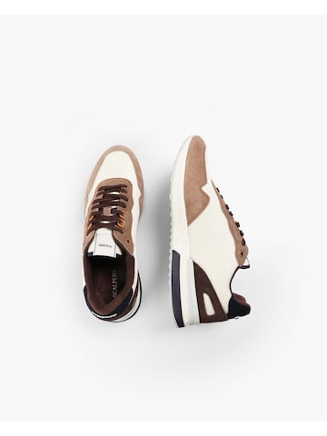 Scalpers Nizke superge ' ' | modra barva