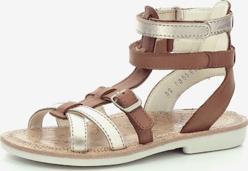 Kickers Sandale in Braun: Vorderseite