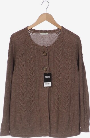 Public Sweater & Cardigan in XL in Brown: front