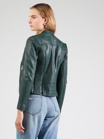 Gipsy by Mauritius Jacke in Grün