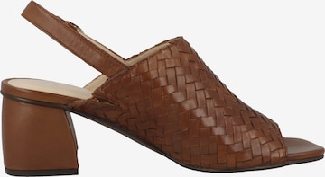 GERRY WEBER SHOES Sandals 'Sabrina 05' in Brown