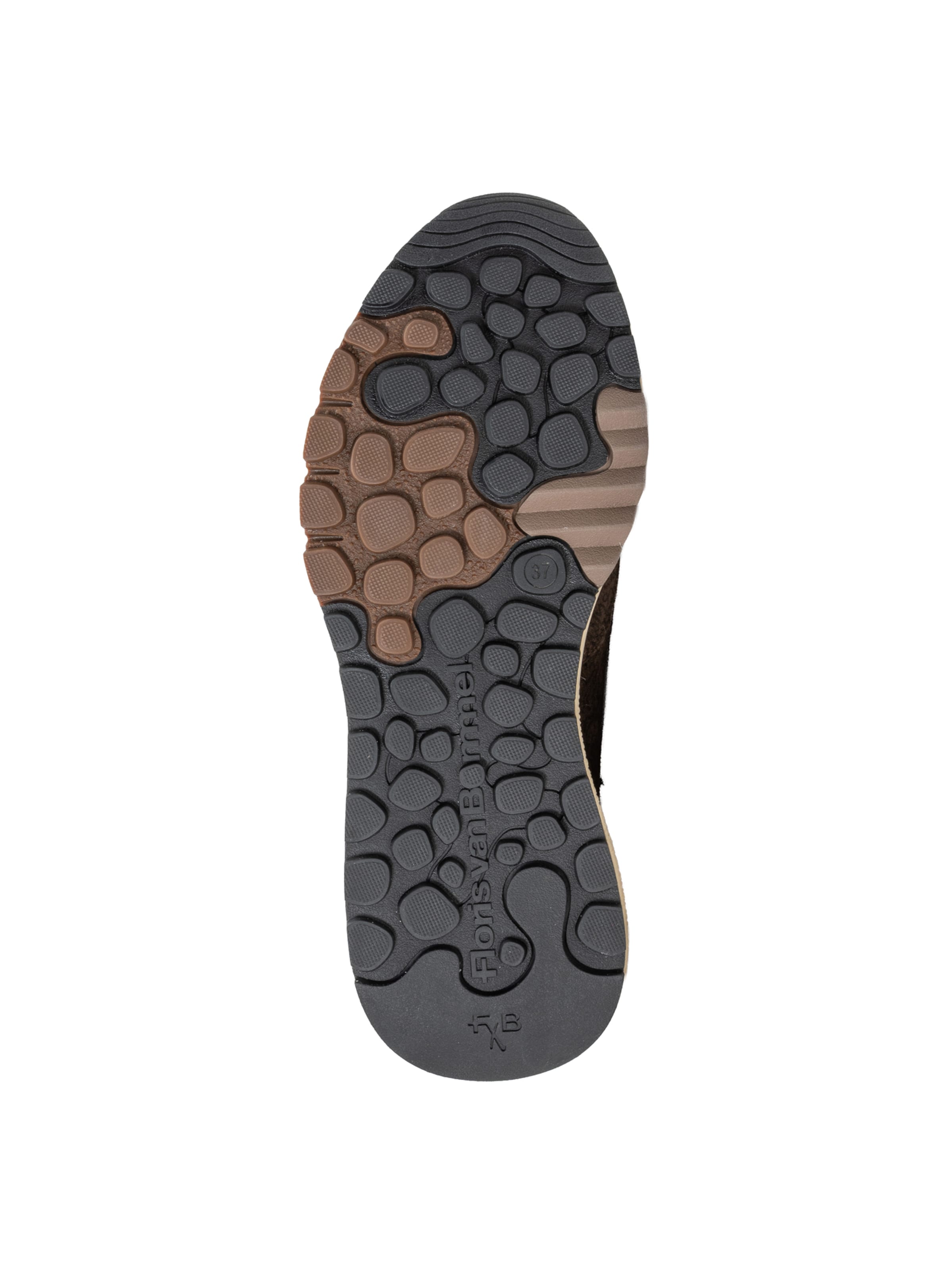 Floris van Bommel Sneakers 'Treni 01' in Brown