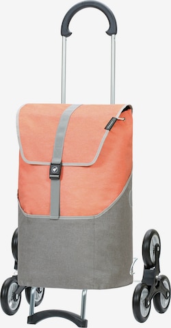 Trolley 'Vigo' di Andersen Shopper in grigio: frontale