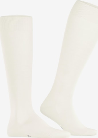FALKE Knee High Socks 'ClimaWool' in White: front