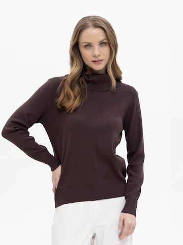 Passioni Sweater in Brown: front