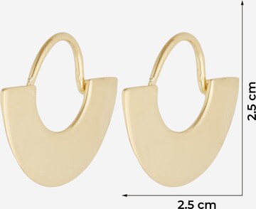 ANIA HAIE Earrings 'Fan Hoop' in Gold