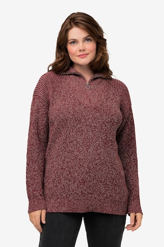 Ulla Popken Pullover (GOTS) in Rot: predná strana