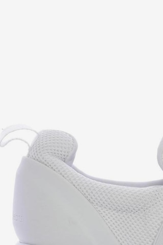 Calvin Klein Jeans Sneaker 40 in Weiß