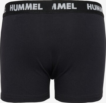 Hummel Unterhose 'Nolan' in Blau