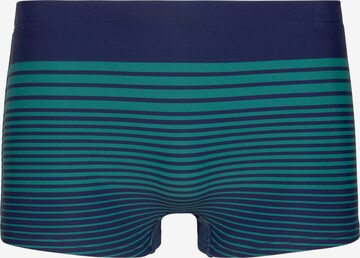 Pantaloncini da bagno di s.Oliver in blu: frontale