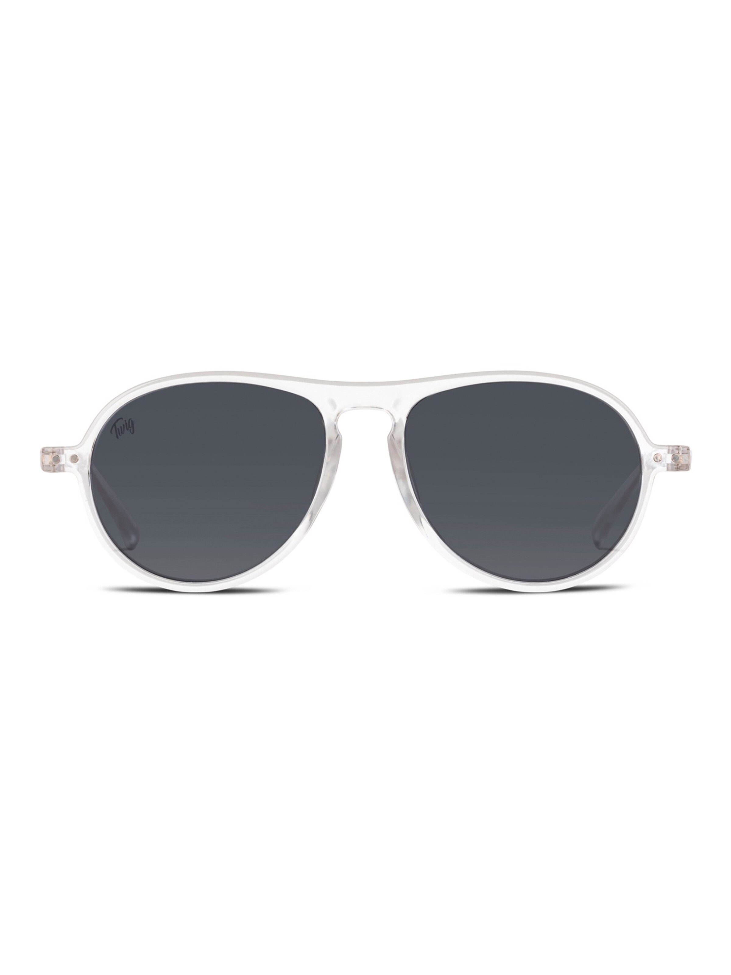 TWIG Concept Milano Sunglasses 'Thiele Sun' in Transparent: front