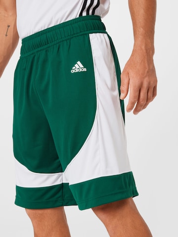 žalia ADIDAS SPORTSWEAR Standartinis Sportinės kelnės