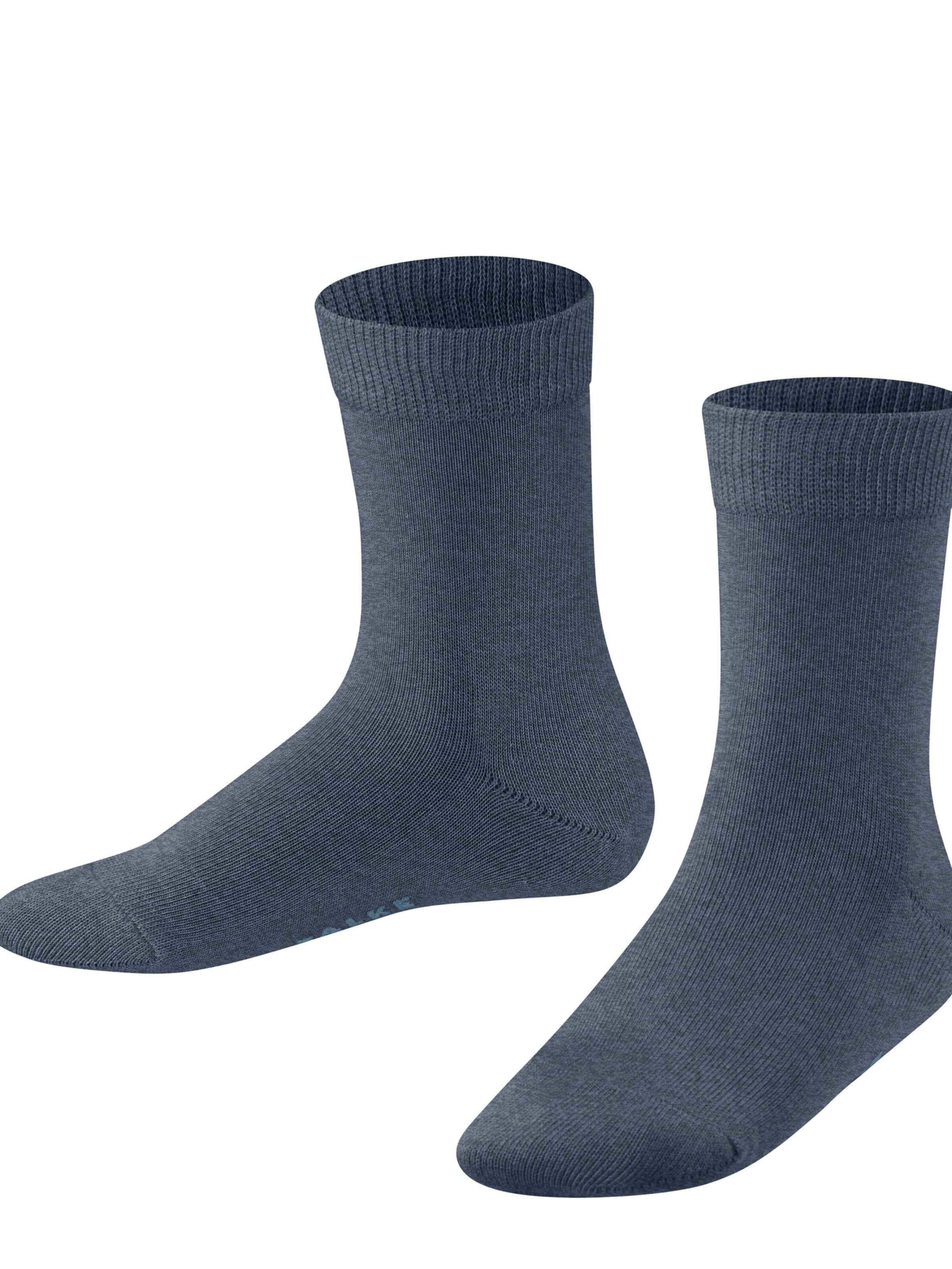 FALKE Socks 'Family' in Blue: front