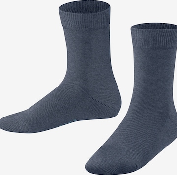FALKE Socks 'Family' in Blue: front