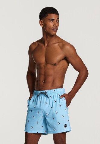 Shorts de bain 'puffin 4-way stretch' Shiwi en bleu