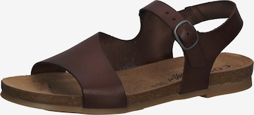 COSMOS COMFORT Sandals in Brown: front
