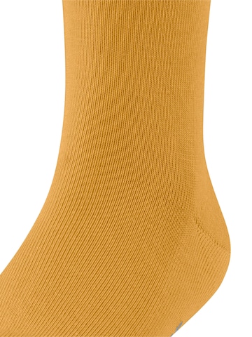 FALKE Socks 'Family' in Yellow