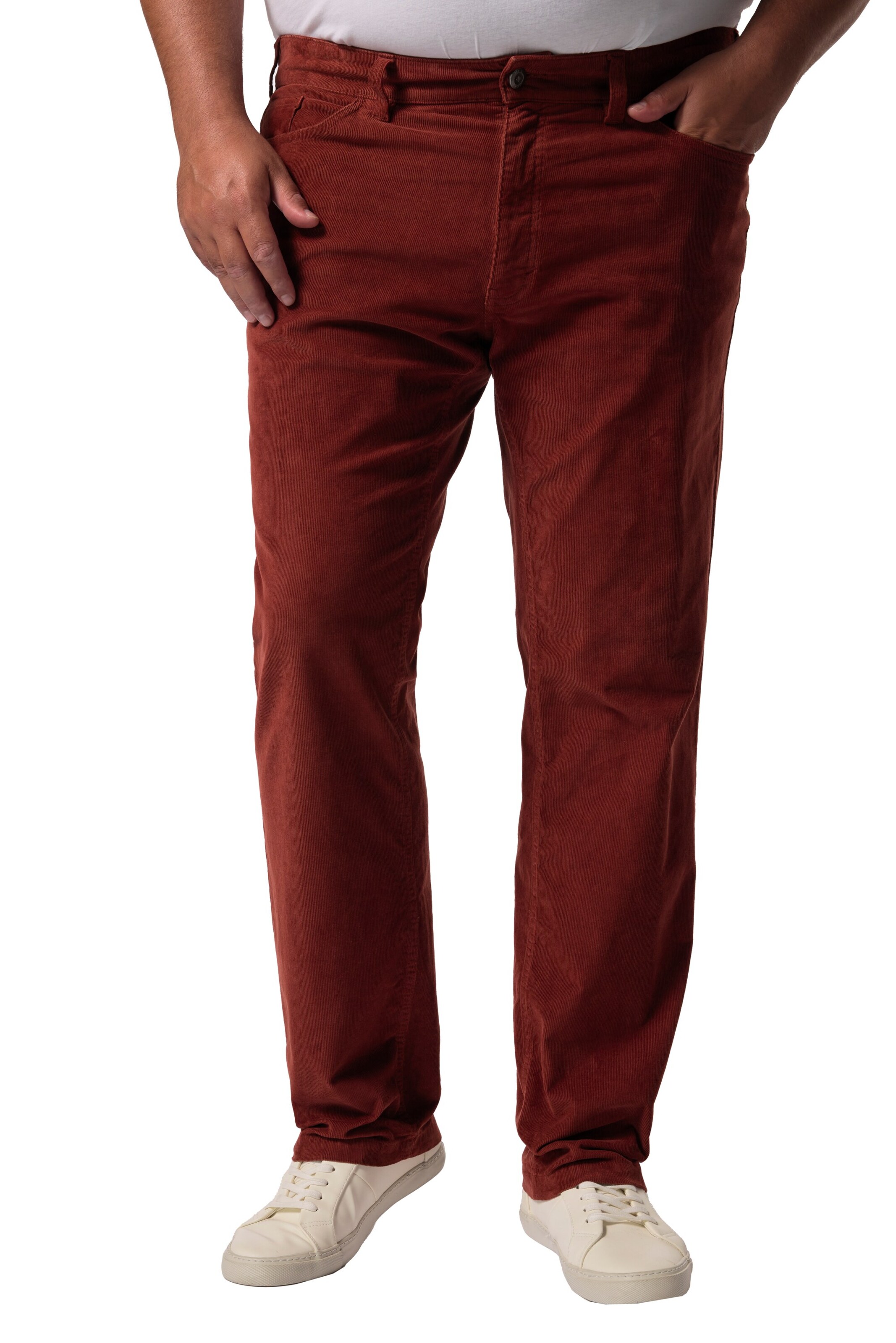 Men Plus Regular Pants in Brown: front
