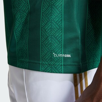ADIDAS PERFORMANCE - Camiseta de fútbol 'Südafrika 26' en verde