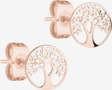 Tamaris Ohrringe in Gold: Vorderseite