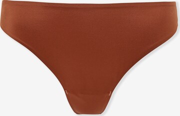 String di ETAM in marrone: frontale