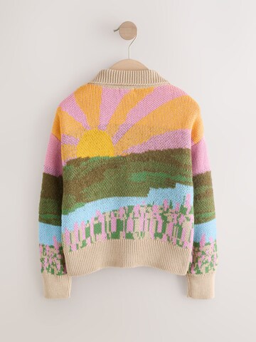 Next Strickjacke in Mischfarben