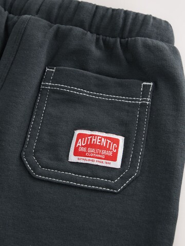 regular Pantaloni di Next in grigio