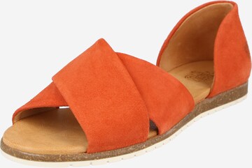 Apple of Eden Sandal in Orange: front