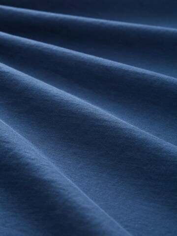 TOM TAILOR Shirts i blå
