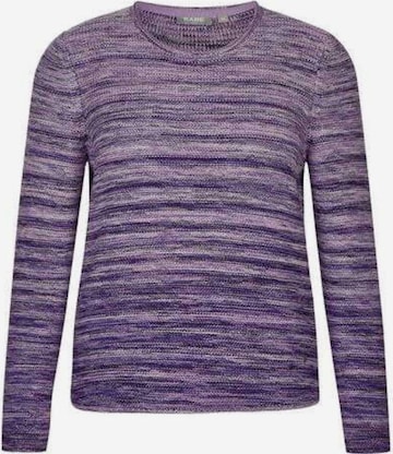 Rabe Sweater in Purple: front