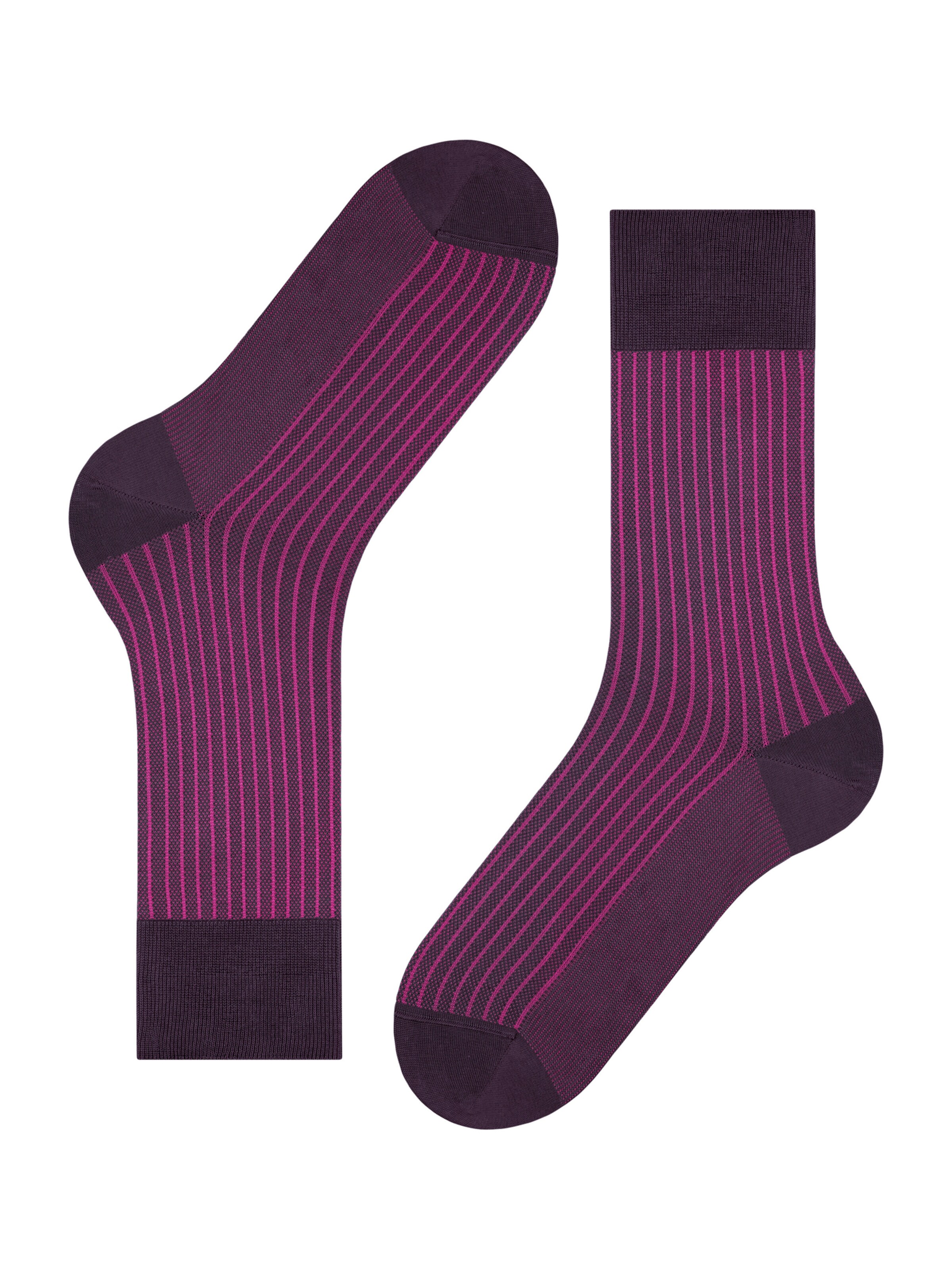 FALKE Носки в Лиловый