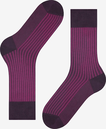 FALKE Socks in Purple
