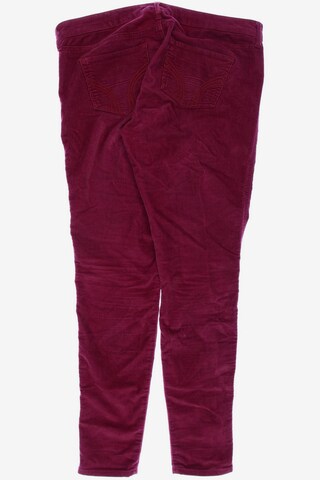 HOLLISTER Pants in L in Red