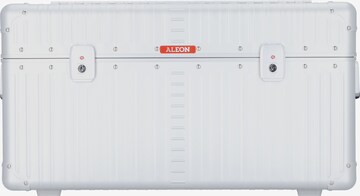 Aleon Suitcase in Silver: front