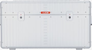 Aleon Suitcase in Silver: front