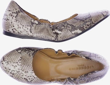 Liebeskind Berlin Ballerina 38 in Beige: Vorderseite