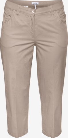 KjBRAND Regular Hose in Beige: Vorderseite