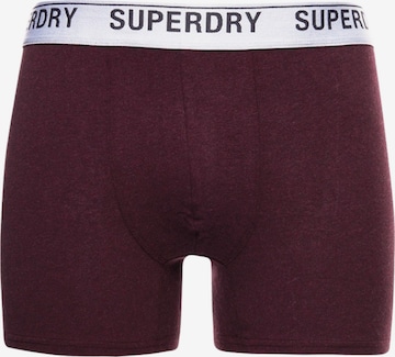 Superdry - Calzoncillo boxer en rosa