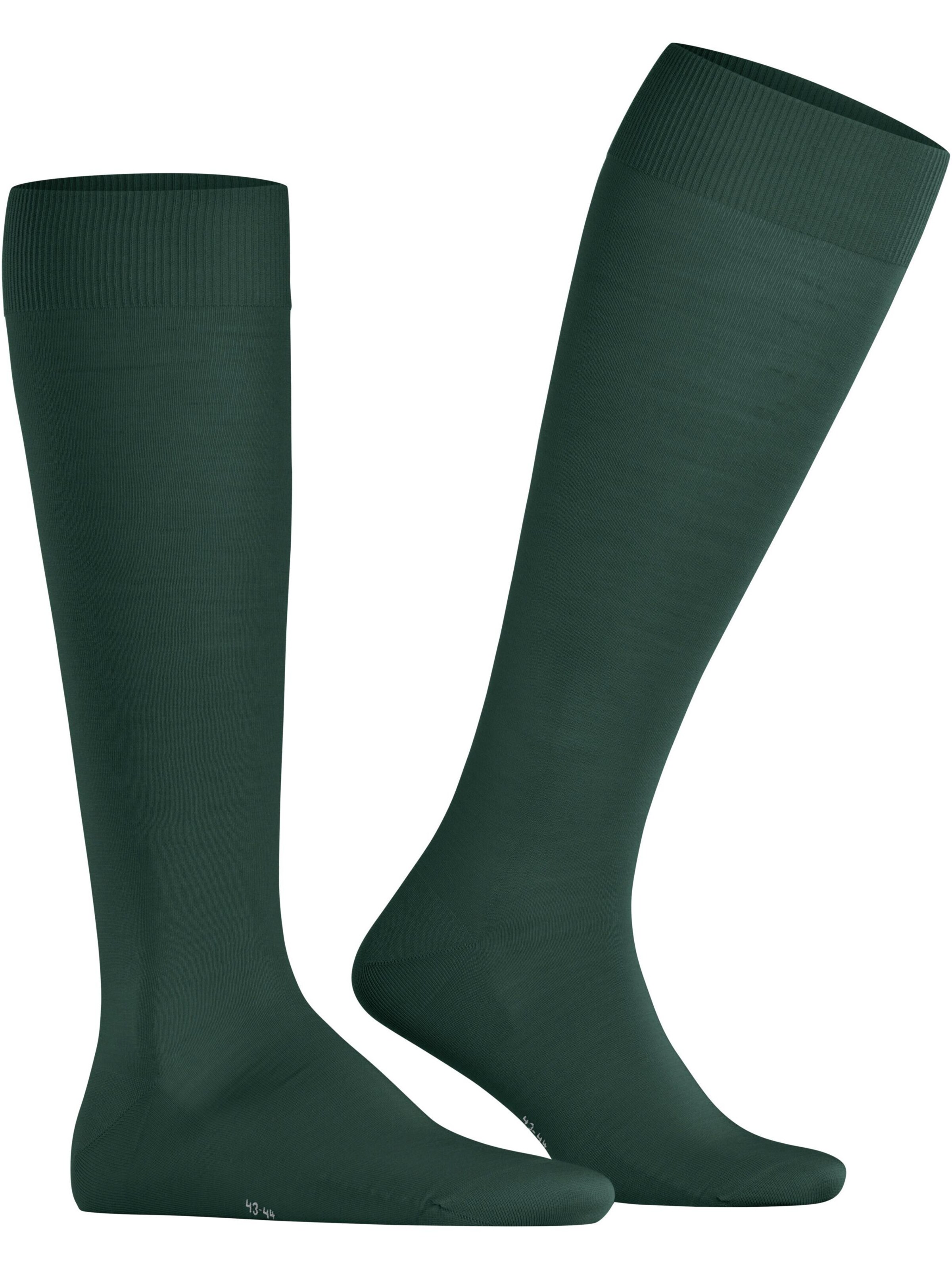 FALKE Knee High Socks 'ClimaWool' in Green