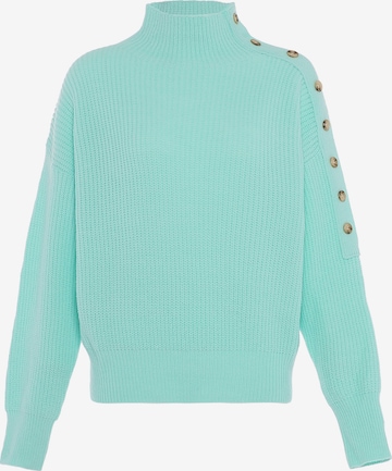 Pull-over aleva en vert : devant