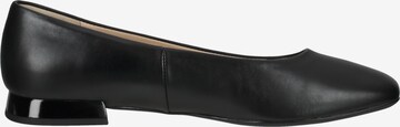 Högl Ballet Flats in Black