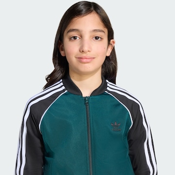ADIDAS ORIGINALS Sweatjacke 'Adicolor' in Grün