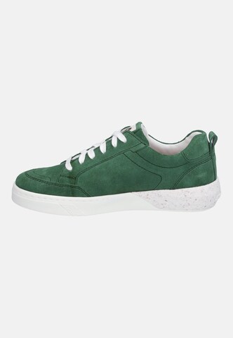 JOSEF SEIBEL Sneakers hoog 'Wilma 03' in Groen