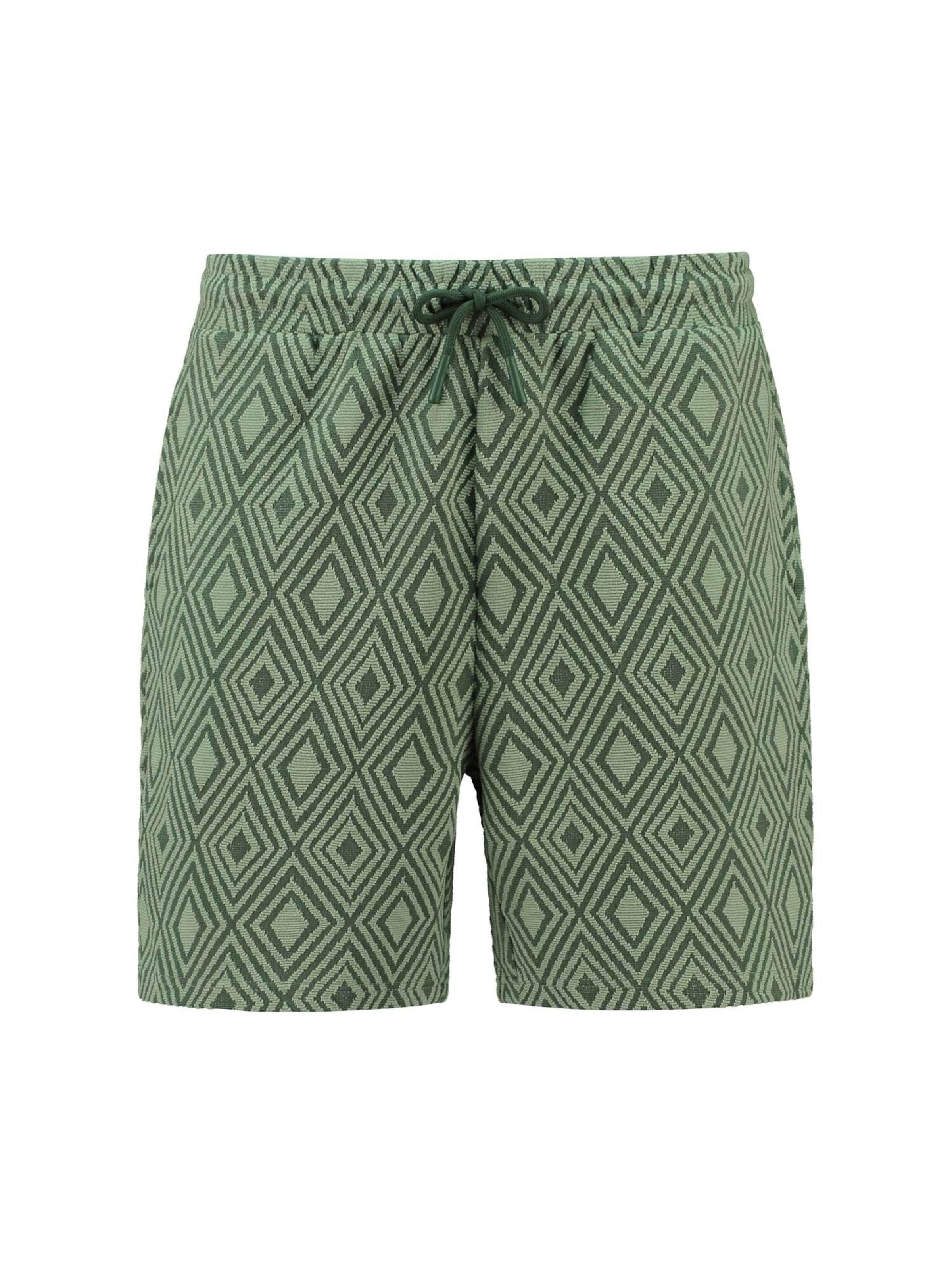 Shiwi Regular Trousers 'Intarsia' in Green: front