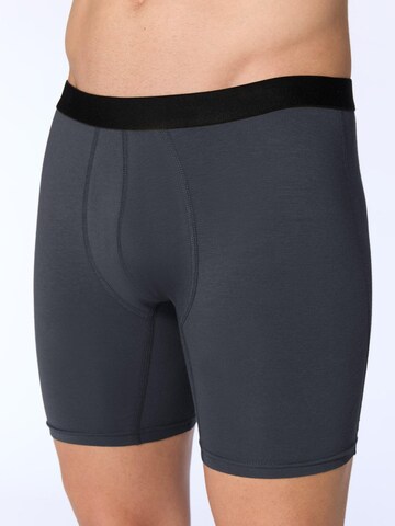 Albero Natur Long Johns 'Bio-Baumwoll-Herren Long Trunks' in Grey