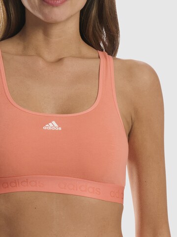 ADIDAS SPORTSWEAR Bralette Sports Bra ' CROP BRA ' in Orange