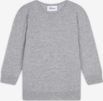 pilka JUST CASHMERE Megztinis 'Janice': priekis